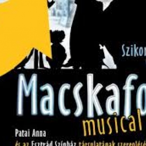 Macskafogó musical Debrecenben a Főnix Csarnokban - Jegyek itt!